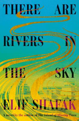 Cover image of There are Rivers in the Sky Book 