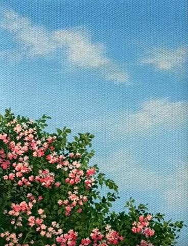 sky and bush with flowers