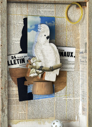 joseph cornell shadowbox image