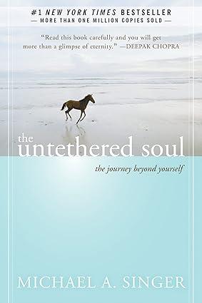 horse running on the beach - book cover