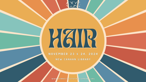 Hair logo