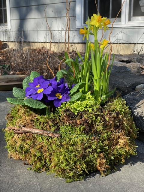 Flower Arrangement