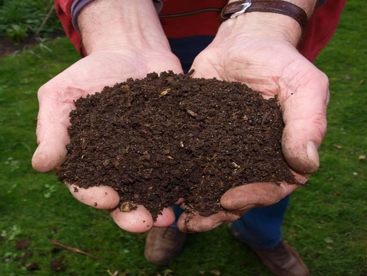 Hands with dirt