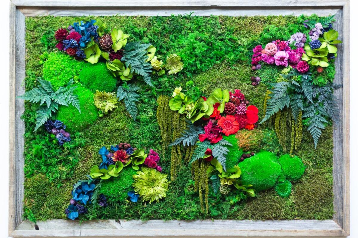 Moss Art Image 