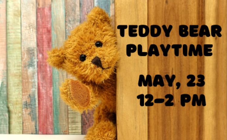 Teddy Bear Playtime