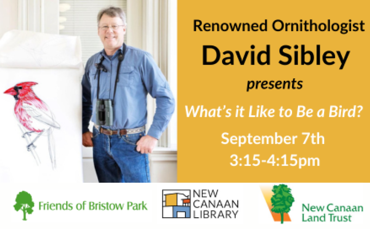 Renowned Ornithologist David Sibly September 7th 